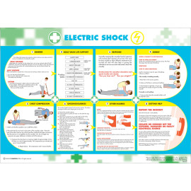 Electric Shock Poster 590mm x 420mm